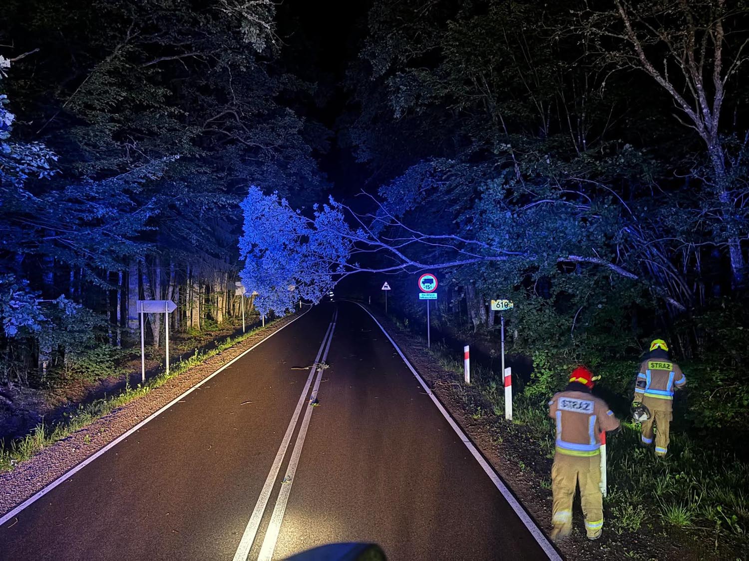 Weekendowe interwencja – silny wiatr dał się we znaki (3)