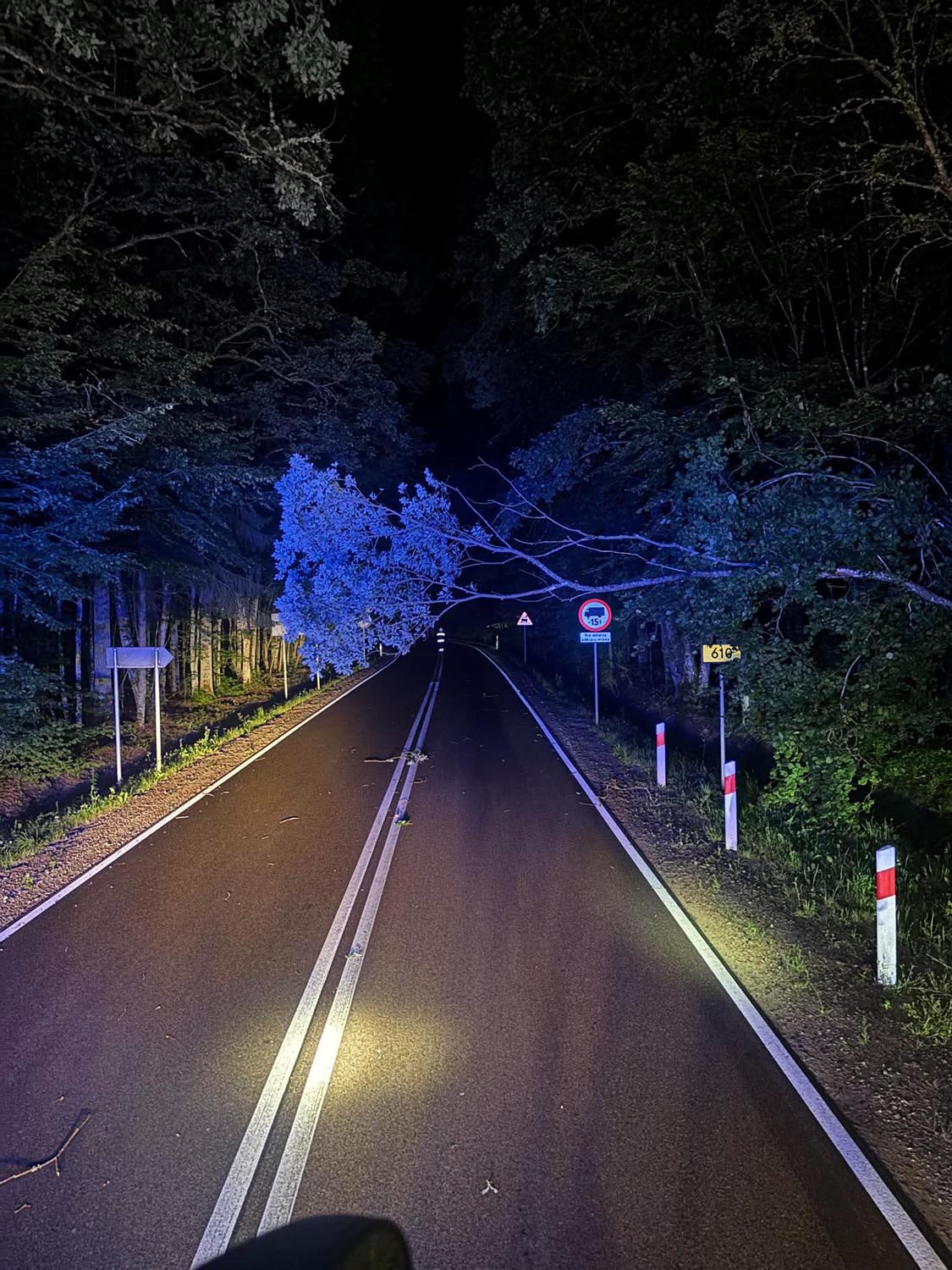 Weekendowe interwencja – silny wiatr dał się we znaki (4)